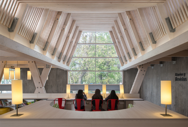 Biblioteca Constitución